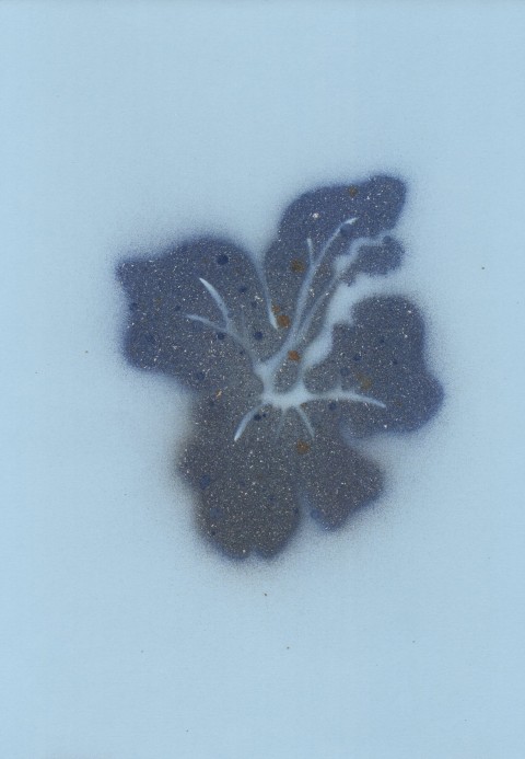 olivier-jamin-stencil-Sq-Tropical-lilly-blue