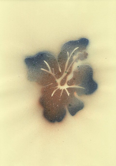 olivier-jamin-stencil-Sq-Tropical-lilly-blue-red