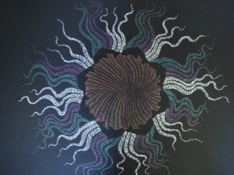 8dolphinsorMumboJungoflower