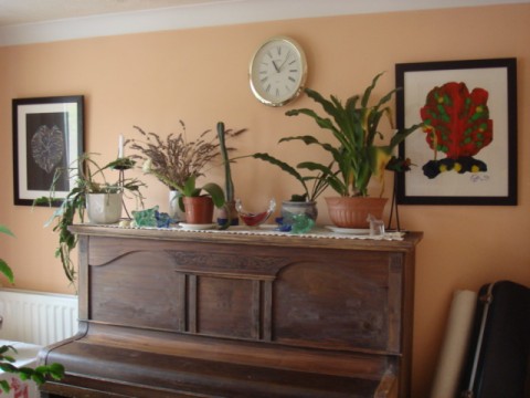 example showing pictures on the wall